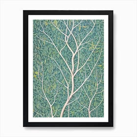 Quaking Aspen Seedlings 4 tree Vintage Botanical Art Print