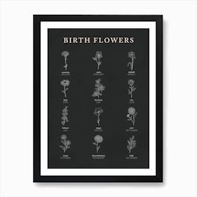 Birth Flowers Chart Navy Background Poster