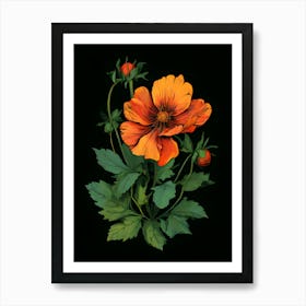 Orange Poppy Art Print