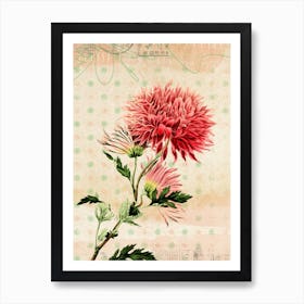 Floral Garden 2 Art Print