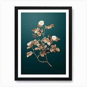 Gold Botanical Sweetbriar Rose on Dark Teal n.0785 Art Print