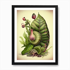 Assassin Snail  Botanical Art Print