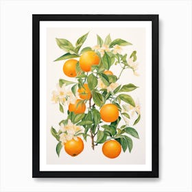 Orange Blossoms 1 Art Print