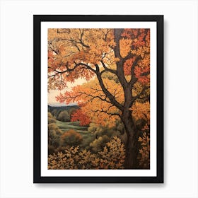 Black Ash 3 Vintage Autumn Tree Print  Art Print