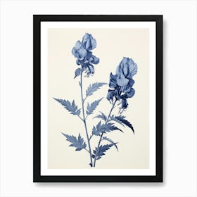 Blue Botanical Aconitum 4 Art Print