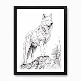 Arctic Wolf Line Drawing 1 Art Print