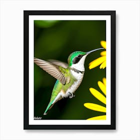 Female Ruby Throated Hummingbird-Reimagined Art Print