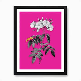 Vintage Musk Rose Black and White Gold Leaf Floral Art on Hot Pink n.0224 Art Print