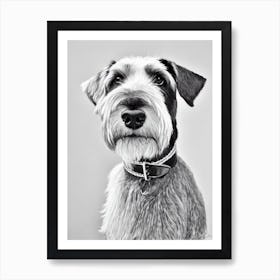 Standard Schnauzer B&W Pencil Dog Art Print