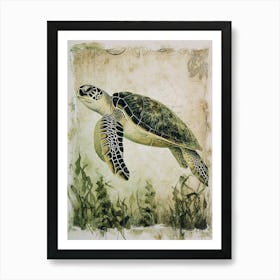 Vintage Sea Turtle In The Seaweed 3 Art Print