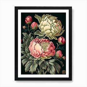 Command Performance Peonies Vintage Botanical Art Print