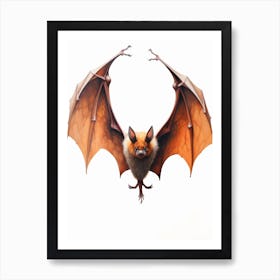 Flying Fox Bat Painting 1 Art Print