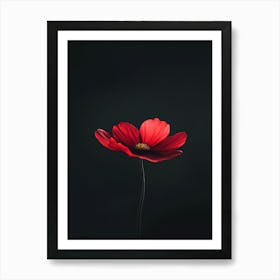 Single Red Flower On Black Background 6 Art Print