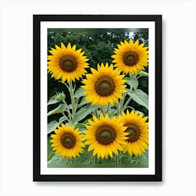 Sunflowers 1 Art Print