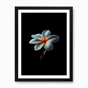 Hawaiian Flower Art Print