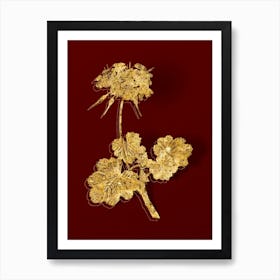Vintage Scarlet Geranium Botanical in Gold on Red n.0121 Art Print