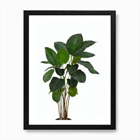 Calathea Orbifolia (Calathea Orbifolia) Watercolor Art Print