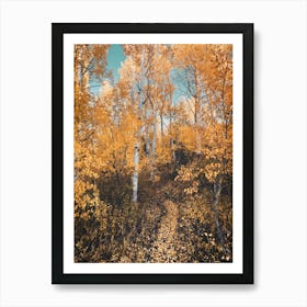 Autumn Forest - Grand Teton National Park Aspen Trees Art Print