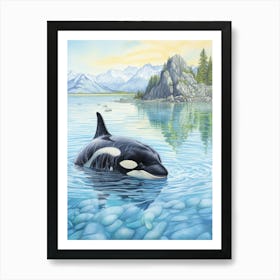 Pencil Crayon Style Illustration Of Orca Whale Coming Out Of Water Art Print