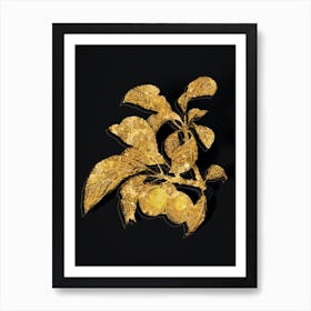 Vintage Ripe Plums on a Branch Botanical in Gold on Black n.0443 Art Print
