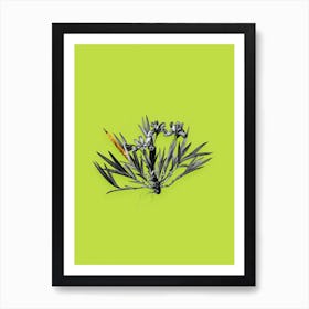 Vintage Dwarf Crested Iris Black and White Gold Leaf Floral Art on Chartreuse n.0001 Art Print