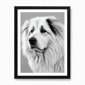 Belgian Sheepdog B&W Pencil Dog Art Print
