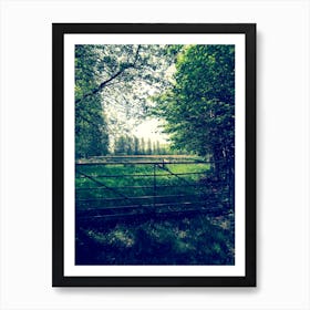 Meat 5 Bar Gate To The Woods Field Countryside Art Print
