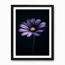 Purple Flower 1 Art Print