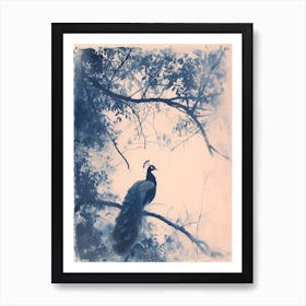 Cyanotype Inspired Peacock In The Tree 3 Art Print