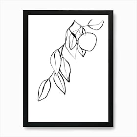 Apricot Art Print