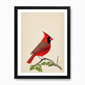 Northern Cardinal Illustration Bird Art Print