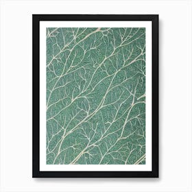 Paperbark Maple 2 tree Vintage Botanical Art Print