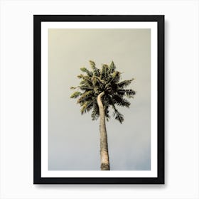 King Palm Art Print