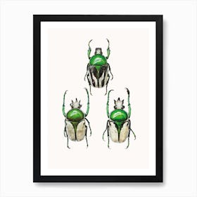 Insects IV Art Print