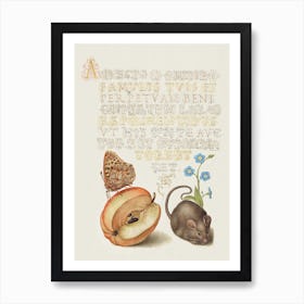 Vintage Calligraphy Letter Mouse And Butterfly Art Print