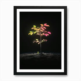 Tree In The Dark 6 Art Print