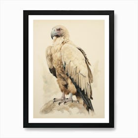 Vintage Bird Drawing Vulture 2 Art Print
