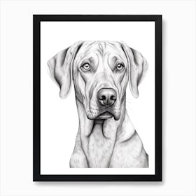 Rhodesian Ridgeback Dog, Line Drawing 4 Art Print