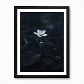 White Flower In Water 1 Art Print