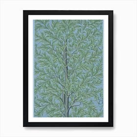 American Elm 2 tree Vintage Botanical Art Print