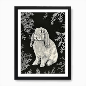 French Lop Rabbit Minimalist Illustration 1 Art Print