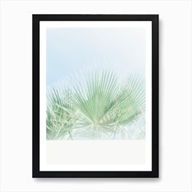 Peppy Palms Art Print
