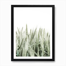 Wheat Field Art Print