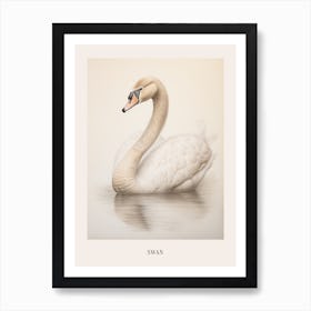 Vintage Bird Drawing Swan 3 Poster Art Print