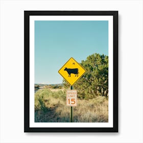 Ghost Ranch XI on Film Art Print