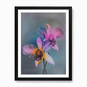 Iridescent Flower Monkey Orchid 1 Art Print