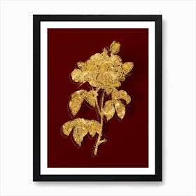 Vintage Duchess of Orleans Rose Botanical in Gold on Red n.0572 Art Print