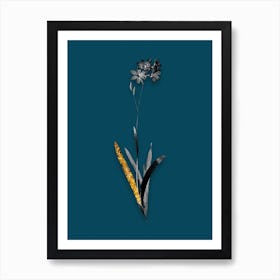 Vintage Corn Lily Black and White Gold Leaf Floral Art on Teal Blue n.1086 Art Print