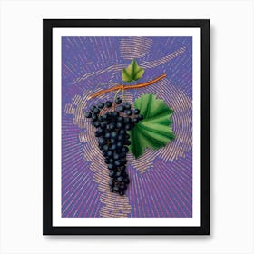 Vintage Berzemina Grape Botanical Illustration on Veri Peri n.0569 Art Print