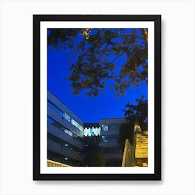 Blue At Night Art Print